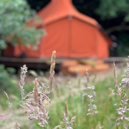 Hotel Rode Bell Achter Duin 't Horntje Exterior foto