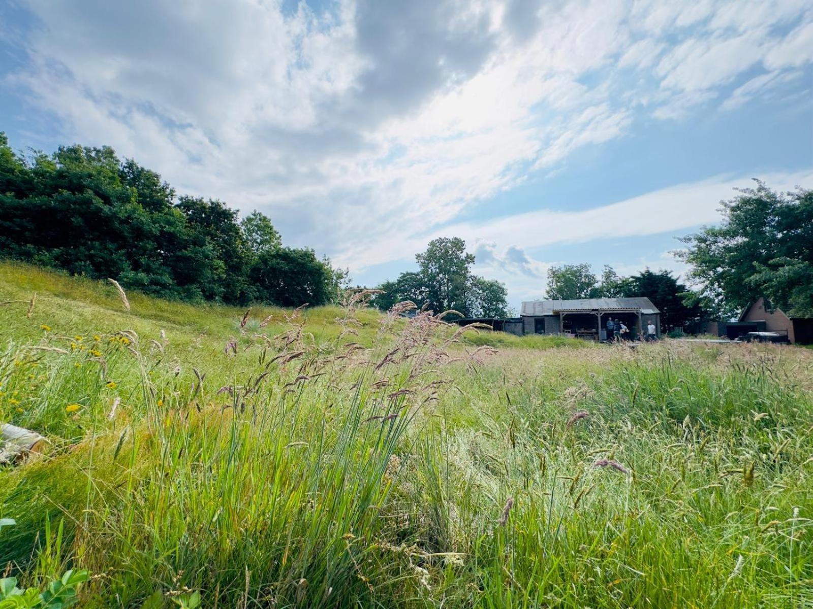 Hotel Rode Bell Achter Duin 't Horntje Exterior foto